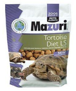 Tortoise Food